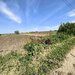 Teren intravilan cu potantial pentru investitie