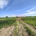 Teren intravilan cu potantial pentru investitie
