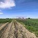 Teren intravilan cu potantial pentru investitie