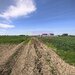 Teren intravilan cu potantial pentru investitie