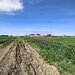 Teren intravilan cu potantial pentru investitie